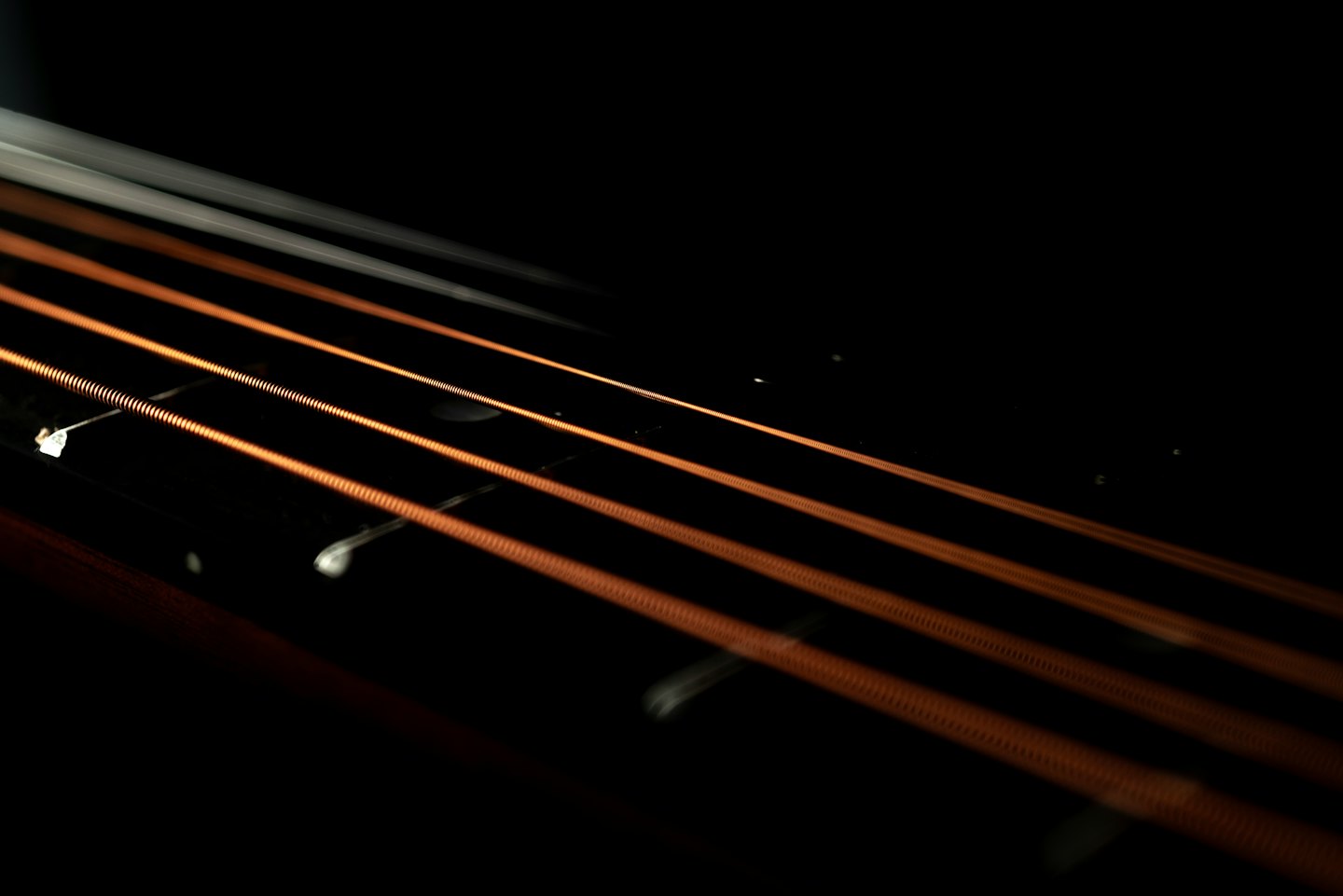 Corde di chitarra acustica color rame appoggiate su una tastiera in legno.
